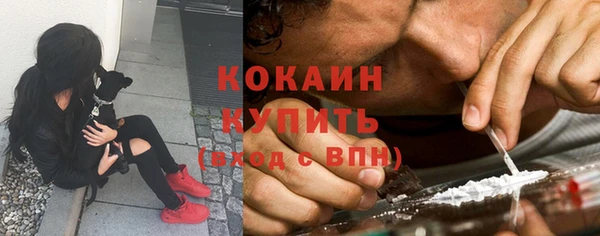трава Зеленокумск